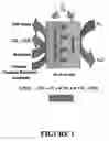 Fig. 02 - Microbial fuel cell treatment of ethanol fermentation process water