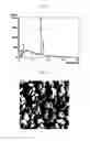 Fig. 09 - Cathode active material for lithium secondary battery