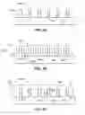 Fig. 15 - MESOPOROUS CARBON MATERIAL FOR ENERGY STORAGE