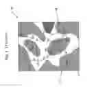 Fig. 02 - Proton selective membrane for solid polymer fuel cells