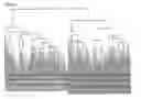 Fig. 09 - System and method for detection of HIV drug resistant variants