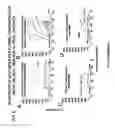 Fig. 09 - Enrichment of a target sequence