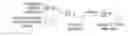 Fig. 01 - Polymerized conjugates for biological applications