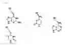 Fig. 02 - Nucleotide analogs
