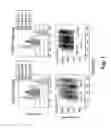 Fig. 02 - Biological encoding of large numbers of cells
