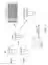 Fig. 02 - Two-color Real-time/End-point Quantitation of MicroRNAs (miRNAs)