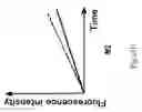 Fig. 49 - Allele Determining Device, Allele Determining Method And Computer Program