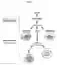 Fig. 02 - Diagnostic method for epilepsy