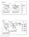 Fig. 03 - Interaction of BIM with TRIM2