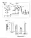 Fig. 04 - Interaction of BIM with TRIM2