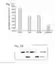 Fig. 08 - Interaction of BIM with TRIM2