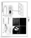Fig. 02 - In Vitro Beating Heart Model