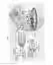 Fig. 02 - Photocatalytic hydrogen production and polypeptides capable of same