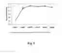 Fig. 06 - METHODS AND COMPOSITIONS FOR EXPRESSING NEGATIVE-SENSE VIRAL RNA IN CANINE CELLS