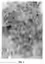 Fig. 02 - METHOD OF POLISHING A MAGNETIC HARD DISC SUBSTRATE