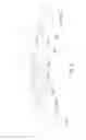 Fig. 06 - Randomized chain sprocket and method for making a sprocket