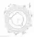 Fig. 07 - Randomized chain sprocket and method for making a sprocket