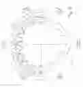 Fig. 08 - Randomized chain sprocket and method for making a sprocket