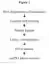 Fig. 02 - TARGET PREPARATION FOR PARALLEL SEQUENCING OF COMPLEX GENOMES