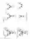 Fig. 08 - Protein scaffolds and uses thereof