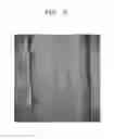 Fig. 07 - MICROARRAY USING LAMINAR FLOW AND METHOD OF PREPARING THE SAME