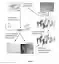 Fig. 02 - Structure-based design of peptide inhibitors of amyloid fibrillation