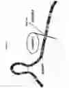 Fig. 02 - Diuretic and natriuretic polypeptides lacking the blood pressure lowering property