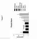 Fig. 08 - Diuretic and natriuretic polypeptides lacking the blood pressure lowering property