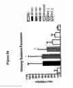 Fig. 35 - Diuretic and natriuretic polypeptides lacking the blood pressure lowering property