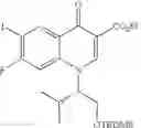 Fig. 40 - Stable crystal of 4-oxoquinoline compound