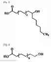 Fig. 02 - 12-HYDROXSTEARIC ACID COPOLYMER AND METHOD FOR PRODUCING THE SAME