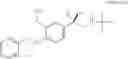 Fig. 22 - Process for the preparation of optically pure R (−) salbutamol and its pharmaceutically acceptable salts