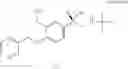 Fig. 27 - Process for the preparation of optically pure R (−) salbutamol and its pharmaceutically acceptable salts