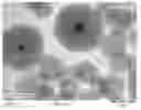 Fig. 01 - SINTERING RESISTANT CATALYST FOR USE IN HYDROGENATION AND DEHYDROGENATION REACTIONS AND METHODS FOR PRODUCING THE SAME
