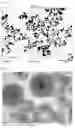 Fig. 02 - SINTERING RESISTANT CATALYST FOR USE IN HYDROGENATION AND DEHYDROGENATION REACTIONS AND METHODS FOR PRODUCING THE SAME