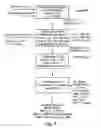 Fig. 04 - Continuous process of preparing bromopicrin