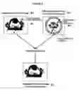 Fig. 07 - System and method for correcting attenuation in hybrid medical imaging