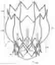 Fig. 01 - Two-stage collapsible/expandable prosthetic heart valves and anchoring systems
