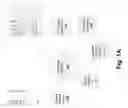 Fig. 02 - DETERMINING THE INTEREST OF INDIVIDUAL ENTITIES BASED ON A GENERAL INTEREST