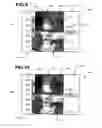 Fig. 06 - Image alignment and trend analysis features for an infrared imaging system