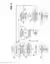 Fig. 07 - Hash-based systems and methods for detecting and preventing transmission of polymorphic network worms and viruses