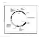 Fig. 02 - Processing of data information in a system