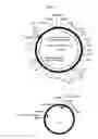 Fig. 08 - Humanized immunoglobulin loci