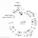 Fig. 09 - Humanized immunoglobulin loci
