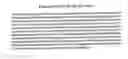 Fig. 28 - Humanized immunoglobulin loci