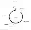 Fig. 33 - Humanized immunoglobulin loci