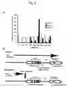 Fig. 06 - Method for enabling stable expression of transgene