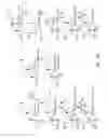 Fig. 02 - DWF4 polynucleotides, polypeptides and uses thereof