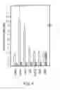 Fig. 08 - DWF4 polynucleotides, polypeptides and uses thereof