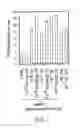 Fig. 09 - DWF4 polynucleotides, polypeptides and uses thereof